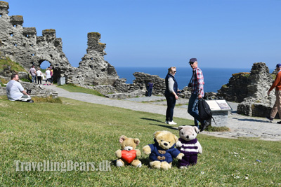 The Travelling Bears at Tintagel Castle in Cornwall