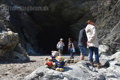 The Travelling Bears at Merlin's Cave in Cornwall