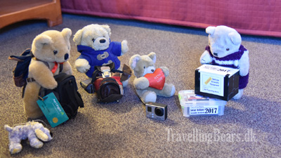 Travelling Bears unpacking observation equipment for the Solar 
				Eclipse in Oregon 2017