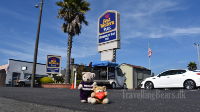 Travelling Bears at the Best Western Humboldt Bay Inn, Eureka, 
				California