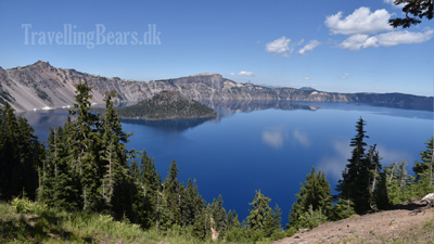 Travelling Bears at the Crater Lake, Oregon